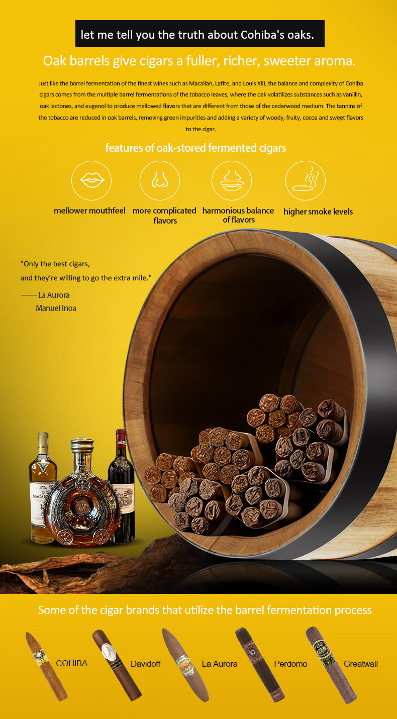 COH300A Cigar Humidor